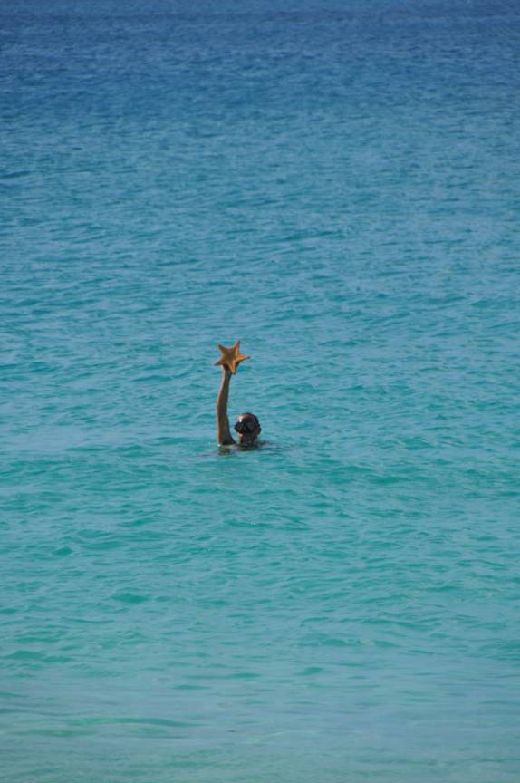 Encontrando uma estrela-do-mar na Baie Rouge, região de Marigot - St Martin, no Caribe